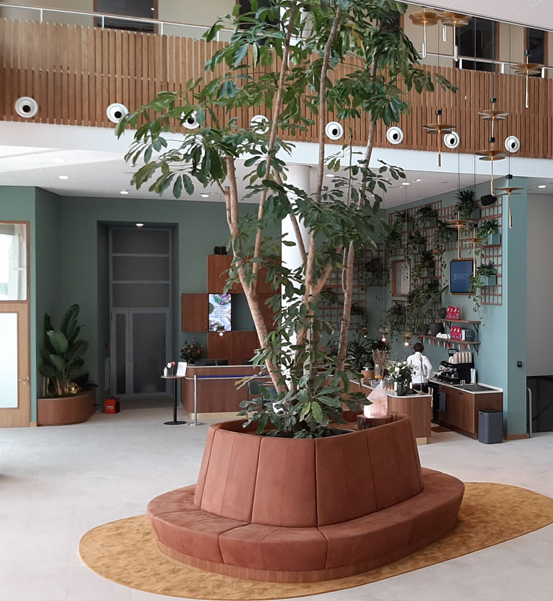 Interieur met een boom in een ronde terracotta bank