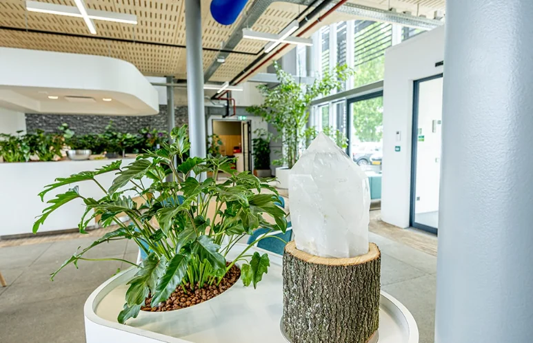 Hal bij Kuijpers in Den Bosch met een plant en een bergkristal op een boomstam