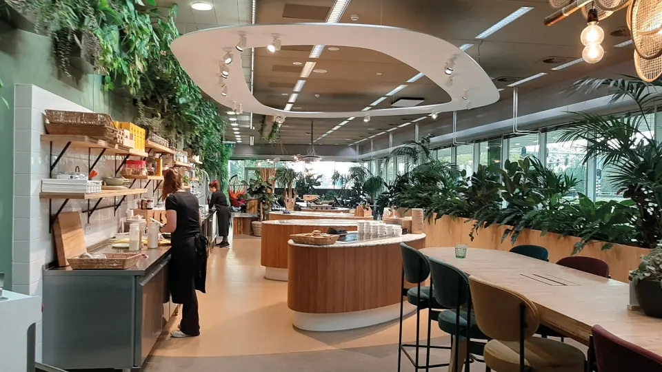 Lichte kantoorruimte met veel planten en een groene wand